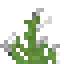 Skullcap icon
