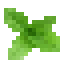 Spearmint icon