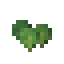 Spinach icon