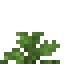 Stinging Nettle icon