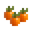 Sungold Tomato icon