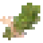 Thyme icon