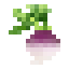 Turnip icon