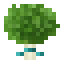 Watercress icon