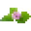 Watermint icon