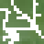Almond Leaves icon
