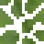 Apricot Fruiting Leaves icon