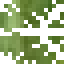 Asai Palm Leaves icon