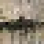 Asai Palm Log icon
