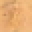 Ash Stripped Log icon