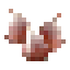 Beechnut icon