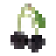 Black Cherry icon