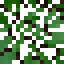 Blackthorn Fruiting Leaves icon