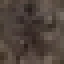 Brazil Nut Log icon