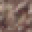 Brazilwood Wood icon