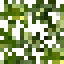 Breadfruit Leaves icon