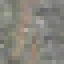 Breadfruit Log icon