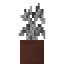 Buddhas Hand Potted Sapling icon