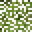 Bull Pine Leaves icon