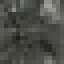 Butternut Log icon