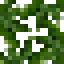 Cacao Leaves icon