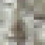 Candlenut Log icon
