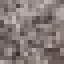 Carob Log icon
