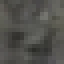 Cashew Wood icon