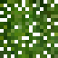 Cedar Leaves icon