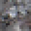 Cedar Log icon