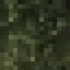 Citron Wood icon