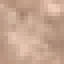 Clove Log icon