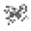 Cocobolo Sapling icon