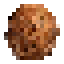 Coconut icon
