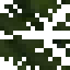 Coconut Leaves icon