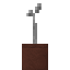 Coconut Potted Sapling icon