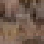Coconut Wood icon