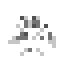 Coffea Sapling icon