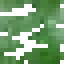 Copoazu Leaves icon