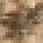 Cultivated Pear Wood icon