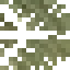 Date Palm Leaves icon
