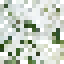 Dogwood Leaves icon