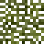 Douglas Fir Leaves icon
