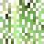 European Larch Leaves icon