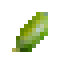 Finger Lime icon