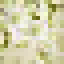 Finger Lime Log icon