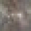 Flowering Crabapple Wood icon