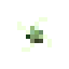 Fustic icon