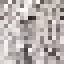 Ginkgo Log icon
