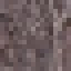 Grandidiers Baobab Log icon